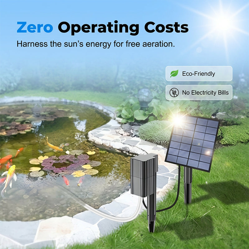 ☀️ Solar Pond Aerator with Air Pump – Crystal Clear Water & Healthier Fish Without Electricity Bills 🐟
