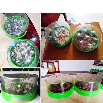 🌿✨ 50% Off – Reusable Non-Electric Fly Trap ☀️
