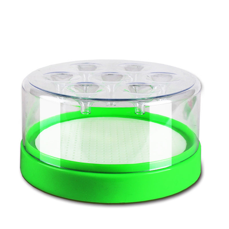 🌿✨ 50% Off – Reusable Non-Electric Fly Trap ☀️