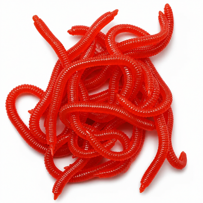 🎣 Buy 2 Get 1 FREE | Scented Earthworm Fishing Baits