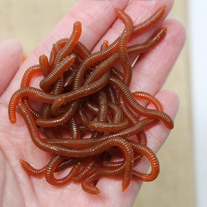 🎣 Buy 2 Get 1 FREE | Scented Earthworm Fishing Baits
