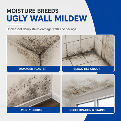 📢📢50% OFF !! ⏰Multi-Purpose Mold & Mildew Remover Spray