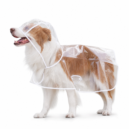 50% OFF 🐶 All-Weather Transparent Waterproof Dog Raincoat (All Sizes) ✨