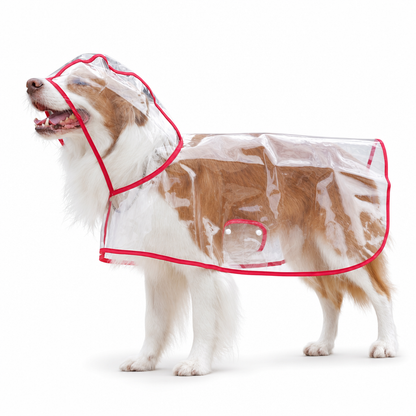 50% OFF 🐶 All-Weather Transparent Waterproof Dog Raincoat (All Sizes) ✨